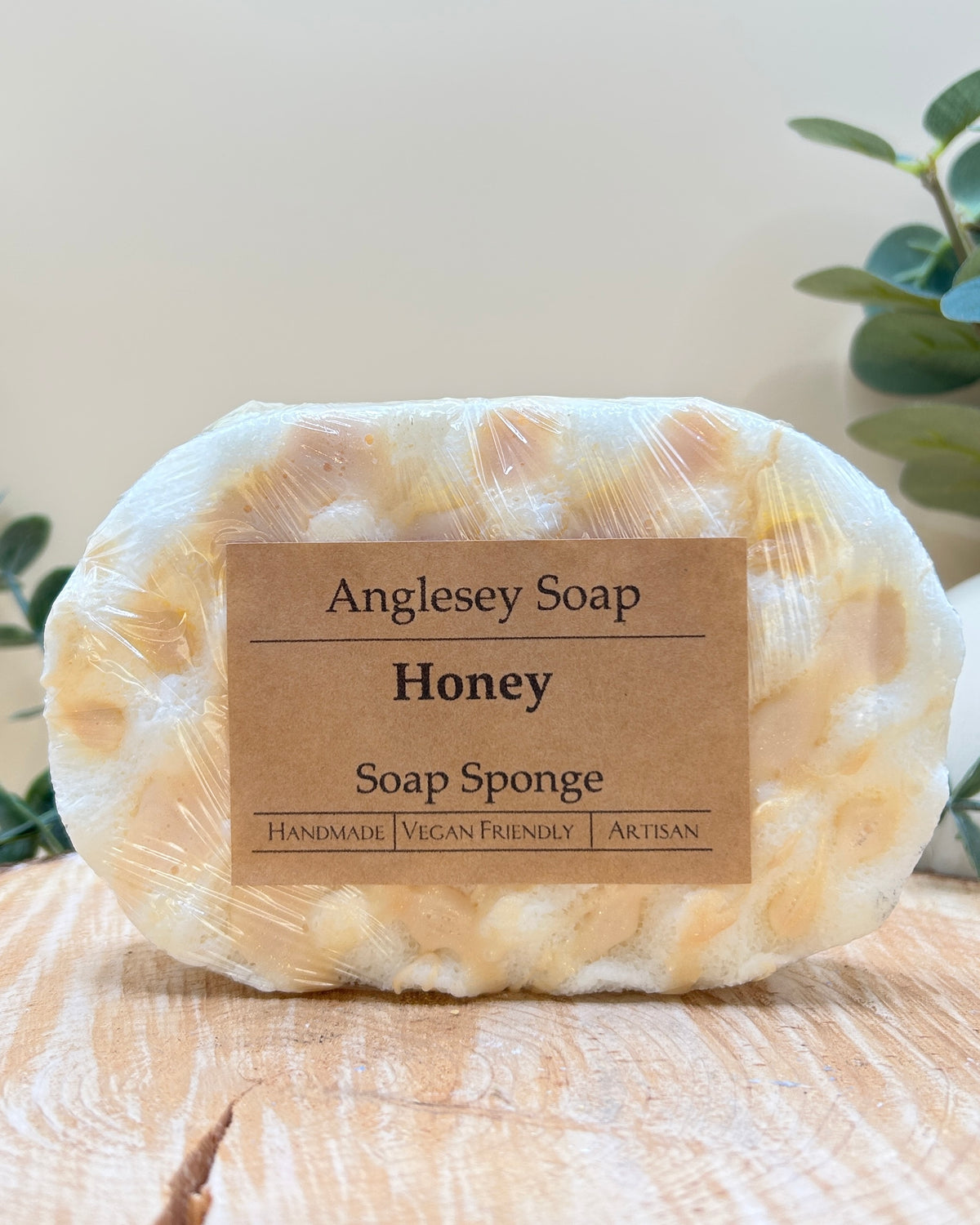 Soap Sponge