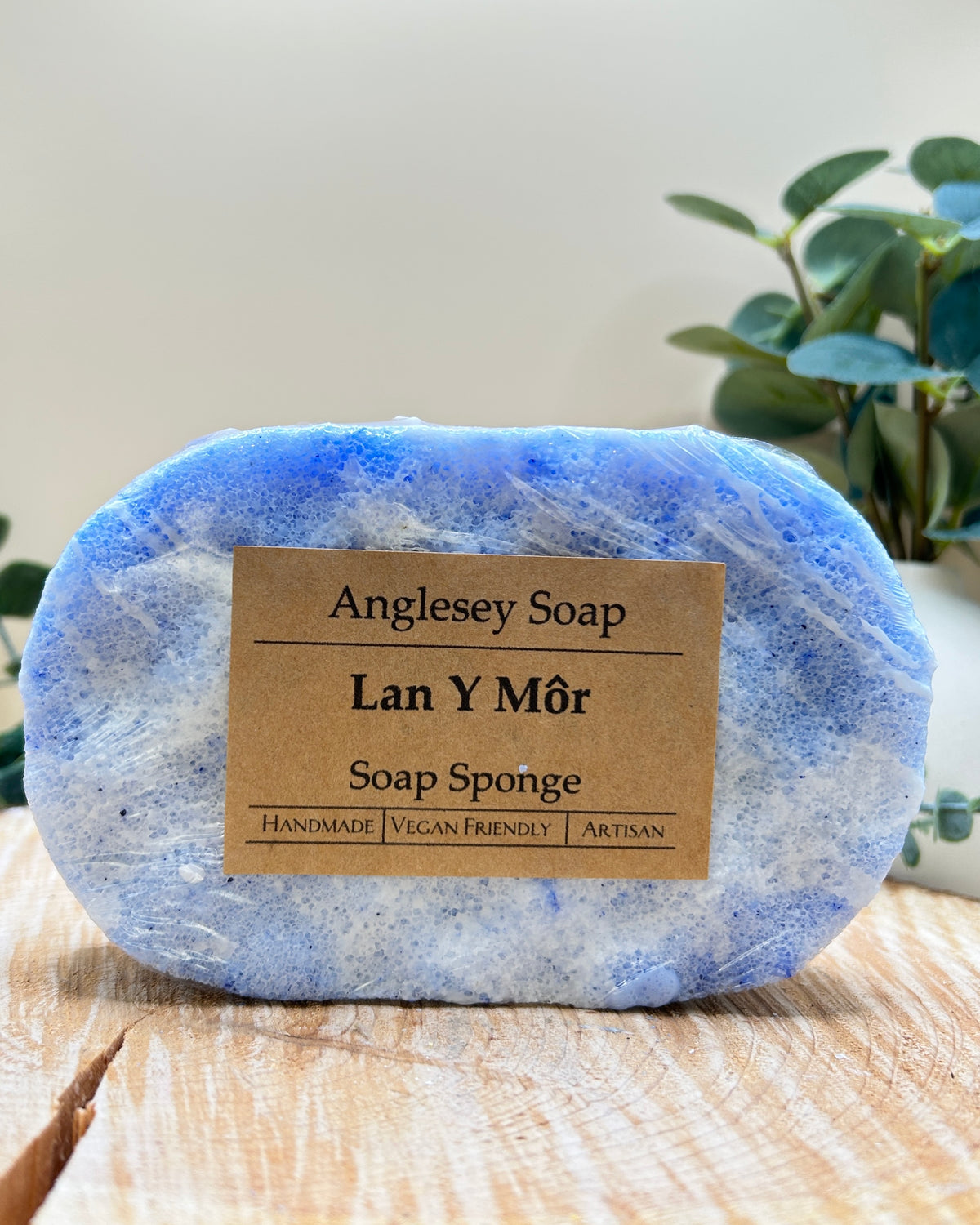 Soap Sponge