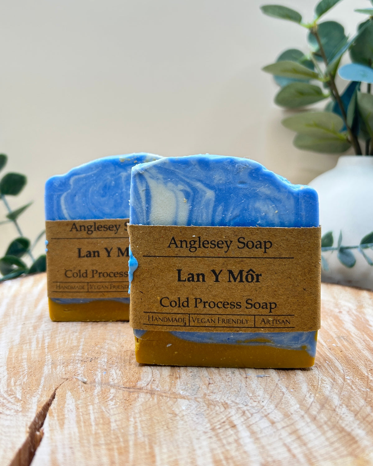 Lan y Môr Soap
