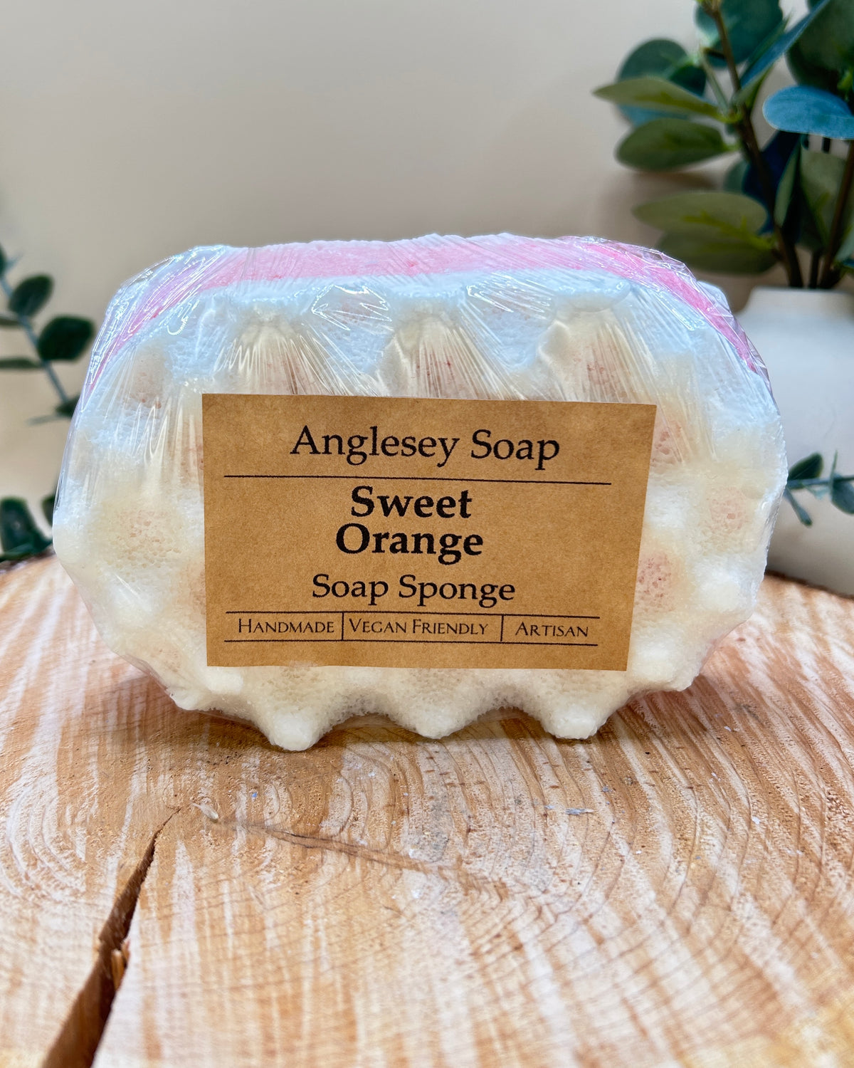 Soap Sponge