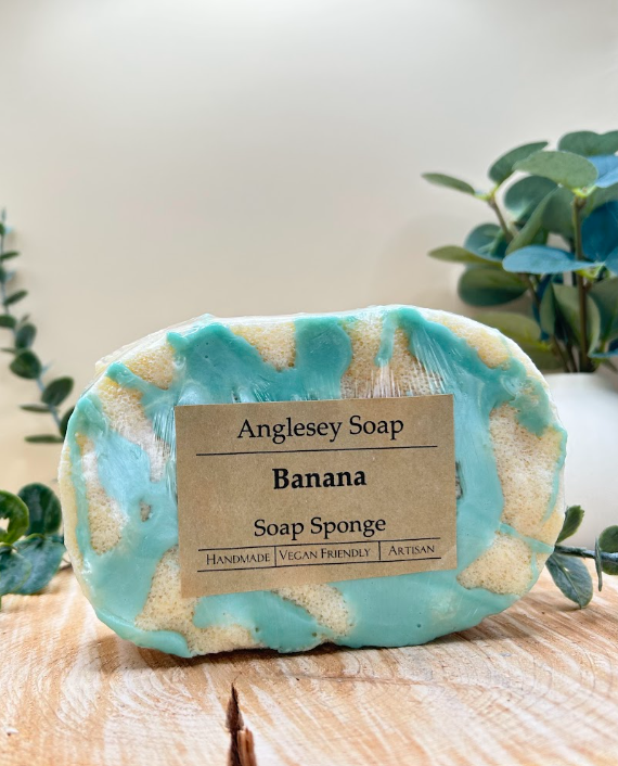 Soap Sponge