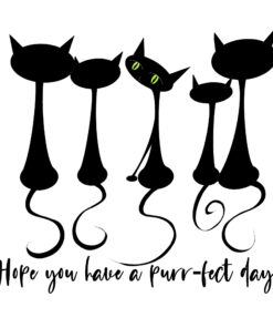 Alternative view of Purr-fect Cats
